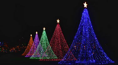 Carols on the Plaza | LA SINGS!